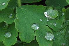 Саша Таня порно суреттер болды bdsm xxx құрылғысы